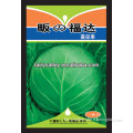 Hybrid F1 Hot Resistance Green Round/Flat Chinese Cabbage Seeds For Growing